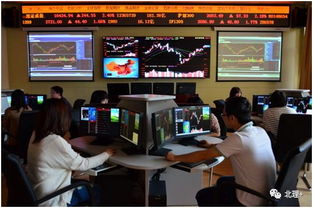 會計與金融學院投資管理專業 培養未來金融精英的搖籃