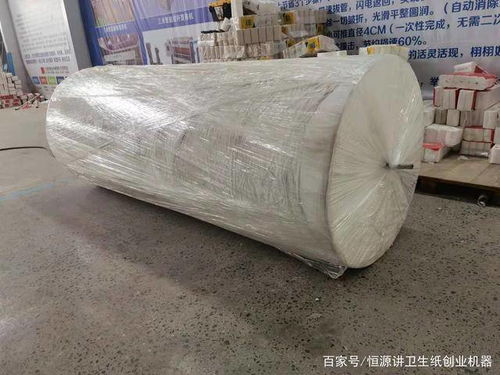 投資建設衛生紙加工廠 資金需求與管理策略詳解